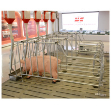 Steel pipe hot-dip galvanized pig gestation pen for pig farm